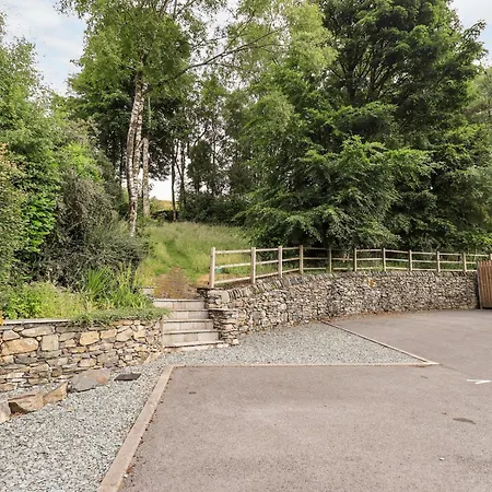 Deer Wood At Applethwaite Hall